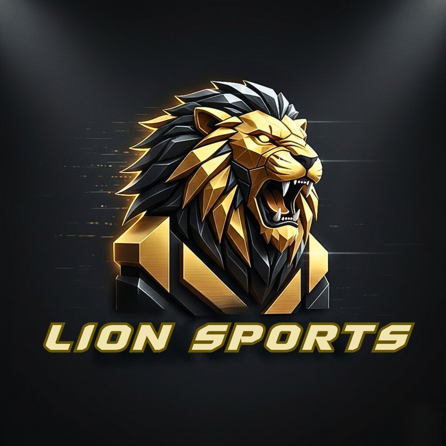 Lion Sports